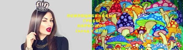 таблы Арсеньев