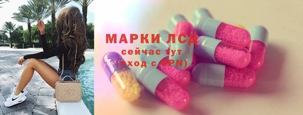 прущие грибы Армянск