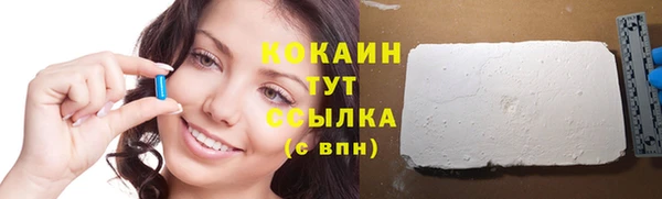 прущие грибы Армянск