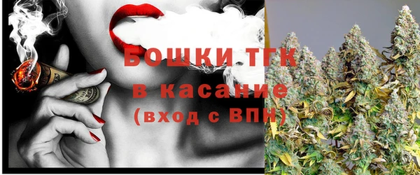 прущие грибы Армянск