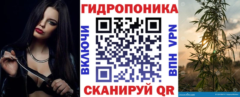 продажа наркотиков  Малая Вишера  Бошки марихуана THC 21% 
